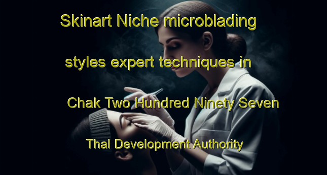 Skinart Niche microblading styles expert techniques in Chak Two Hundred Ninety Seven Thal Development Authority area | MicrobladingTraining | MicrobladingClasses | SkinartTraining-Pakistan